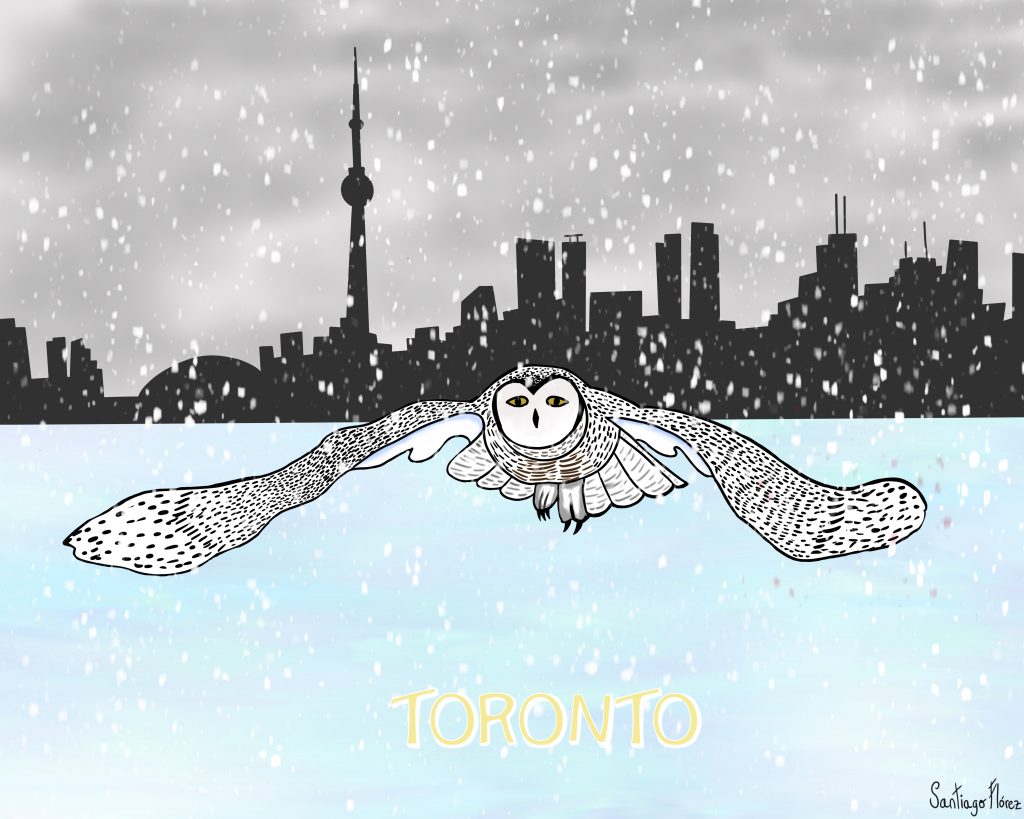 Ilustración de un búho nivel en Toronto