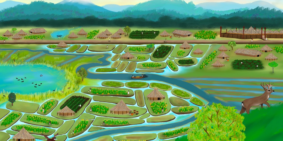 Ilustración describiendo la sabana de Bogotá viendo desde el Cerro Suba observando el territorio donde el río Bogotá fluye a través del paisaje.