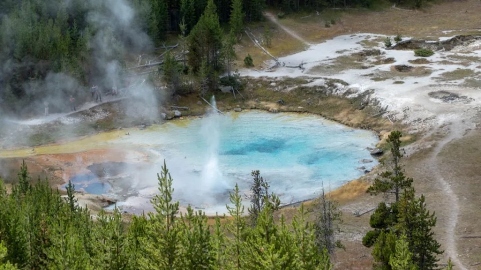 Una imagen del géiser Imperial de Yellowstone. El géiser está al centro de la imagen mostrando coloraciones azules claras y en la parte inferior de la imagen se observan las copas de unos pinos